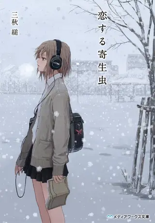 小说主题作品封面 2