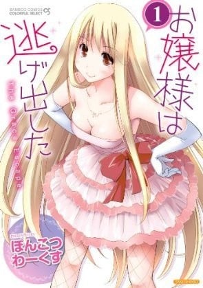 お嬢様は逃げ出した (1)