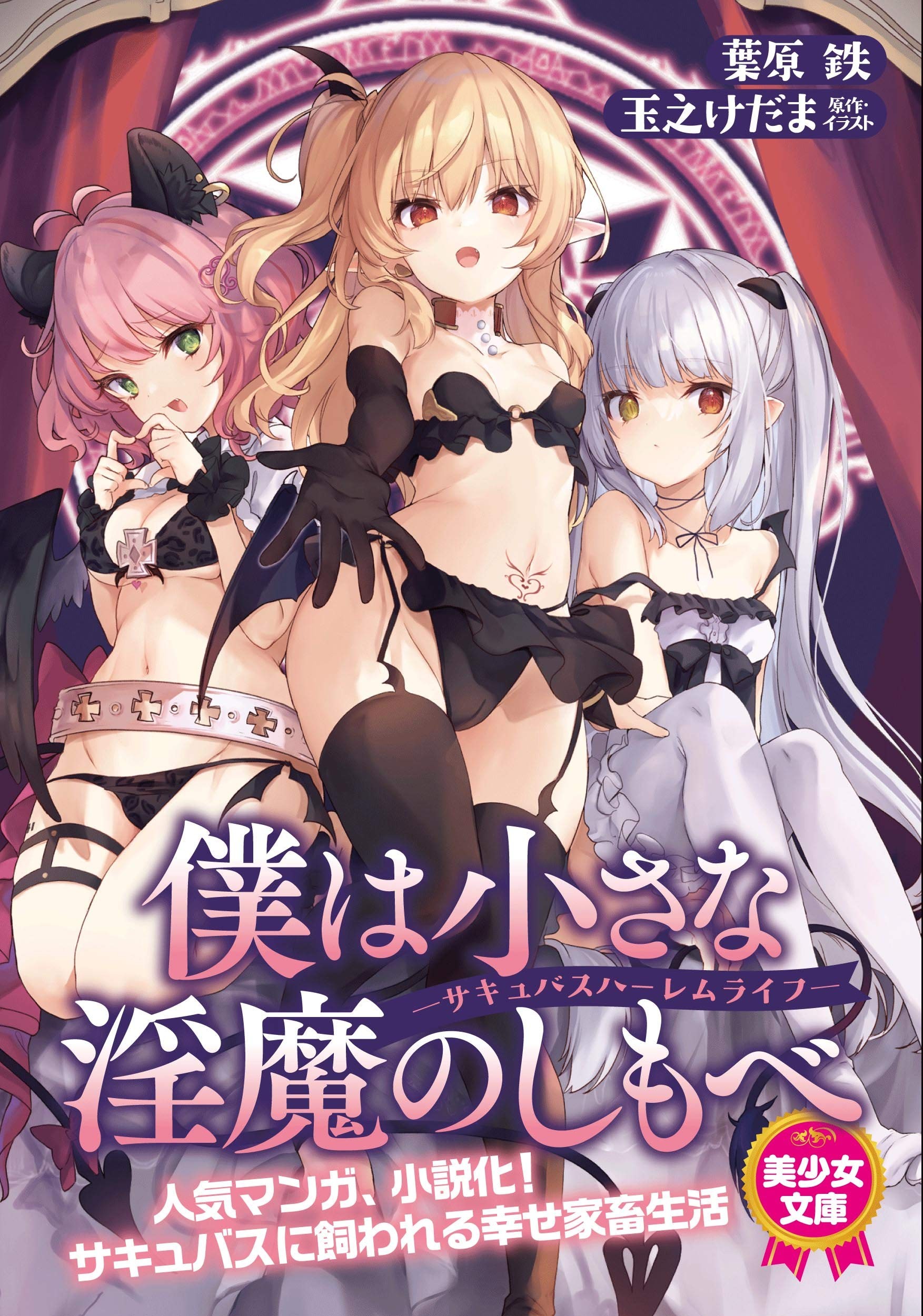 僕は小さな淫魔のしもべ ―サキュバスハーレムライフ―