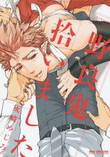 Idol Lover