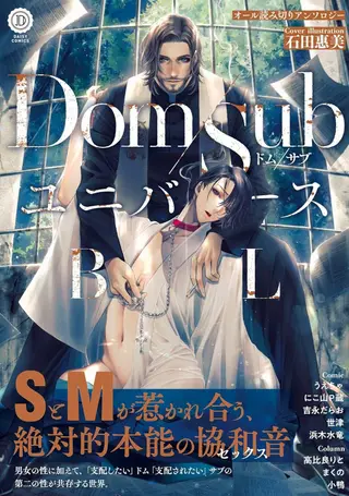 DomSub宇宙BL