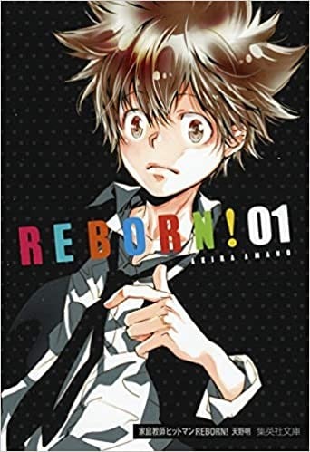 家庭教师HITMAN REBORN! 文库版