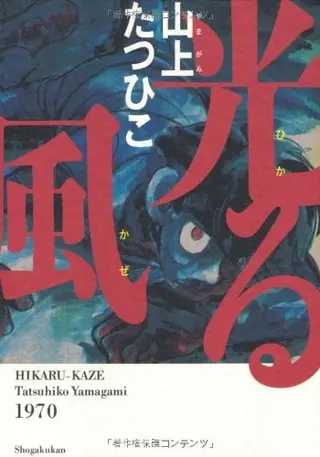 蹑光神风