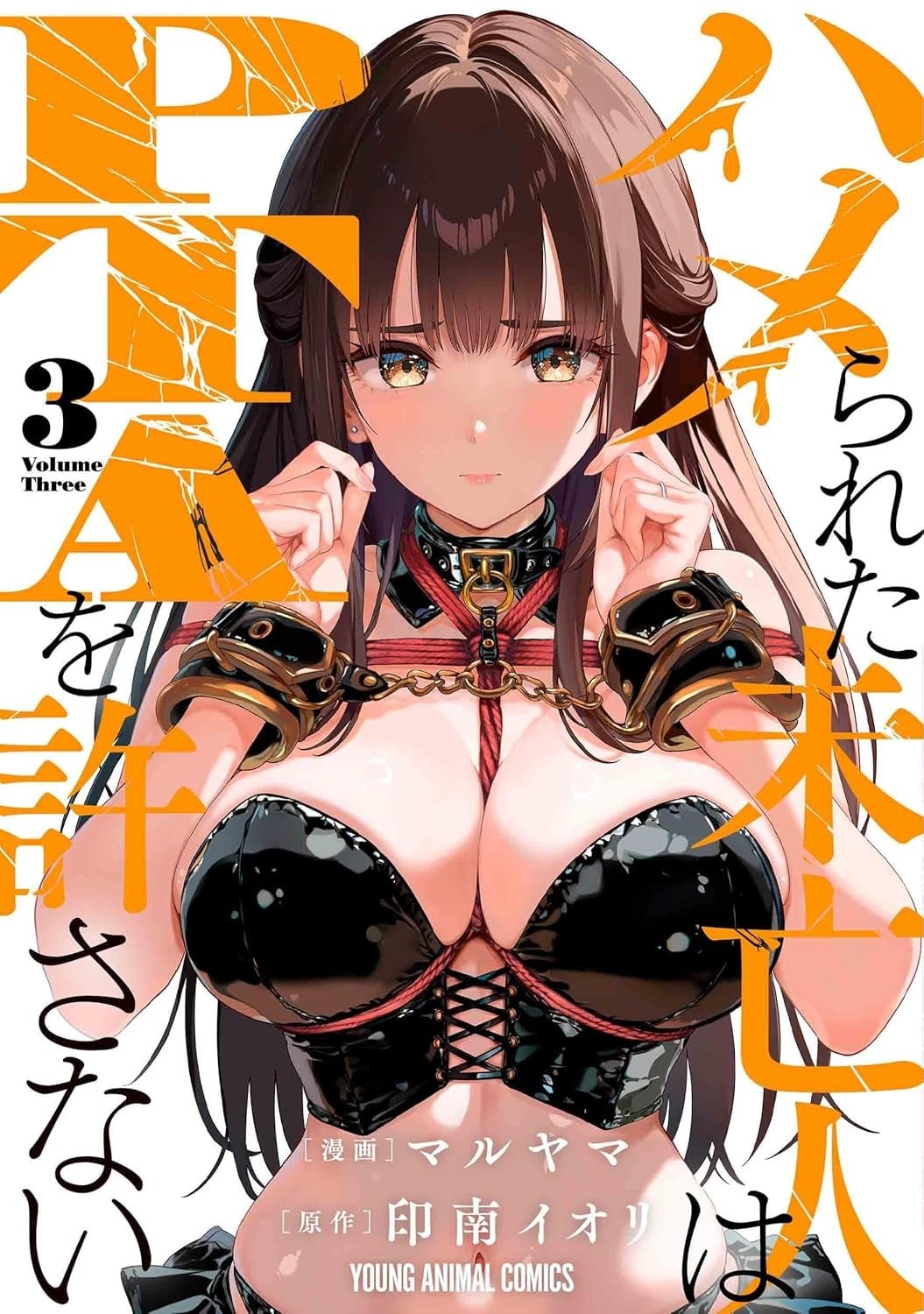 ハメられた未亡人はPTAを許さない (3)