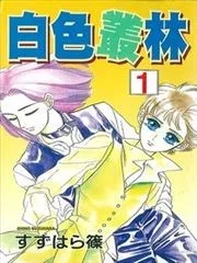 白色丛林
