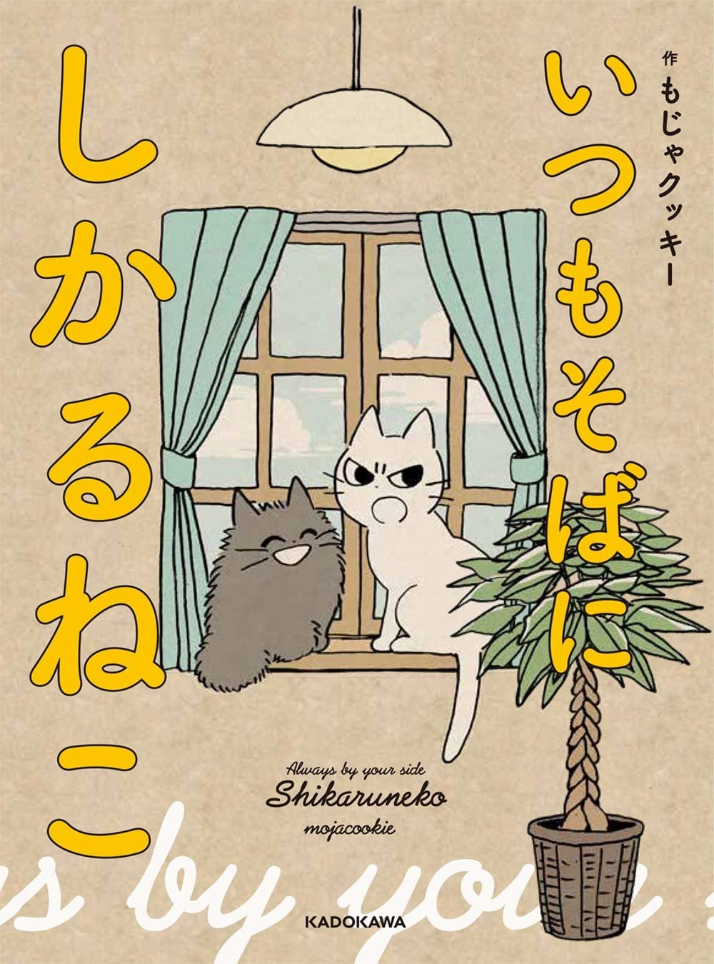 坏嘴猫猫在身边