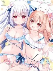 (C102)ColorfulLop