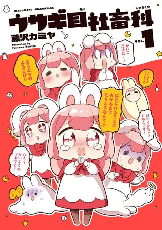 兔子目社畜科