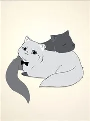 白猫与黑猫