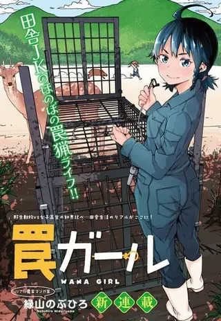 陷阱少女